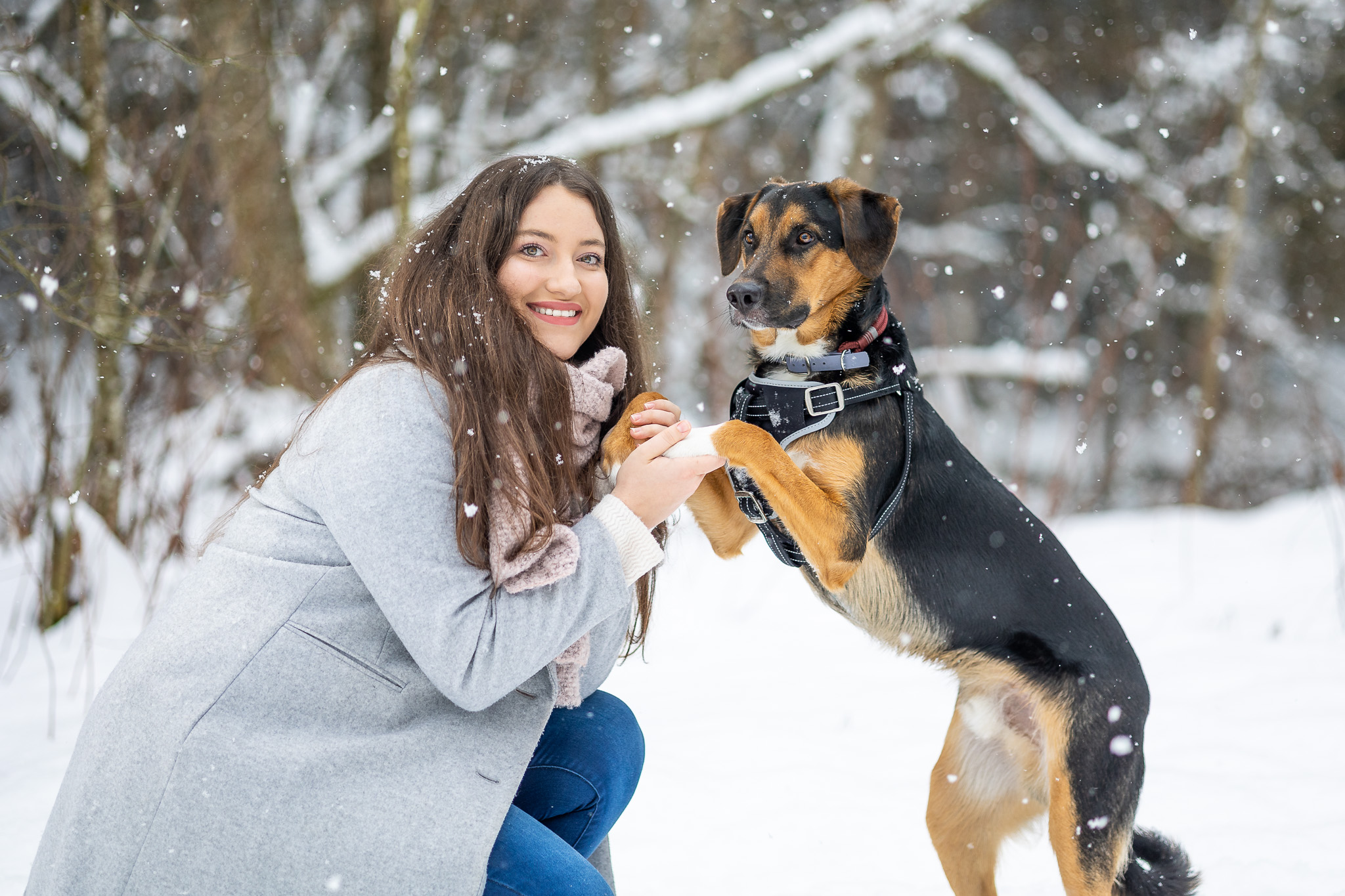 Vertrauen und Nähe zwischen Mensch und Hund